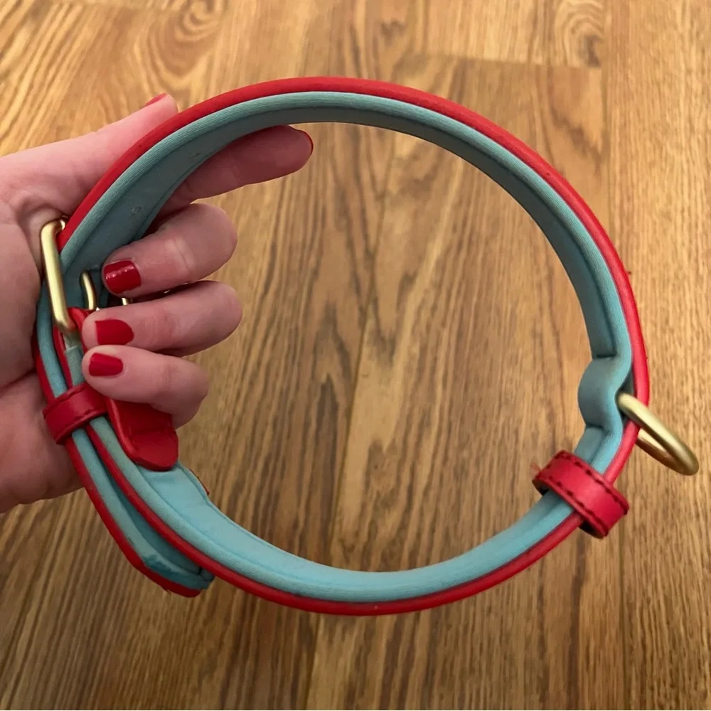 Bright Red Padded Dog Collar